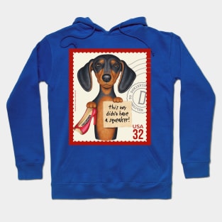 Cute Doxie Dachshund holding a new chew toy Hoodie